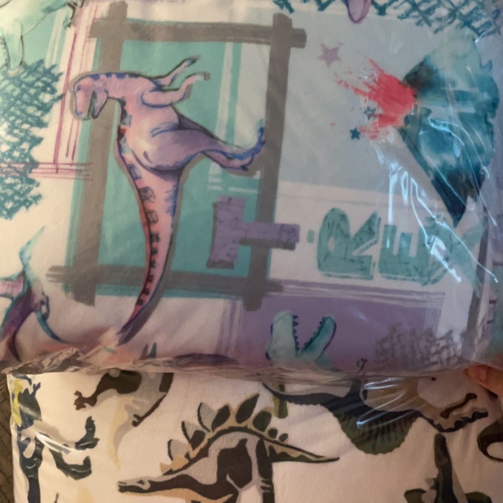 Pink Dino box